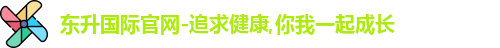 东升国际